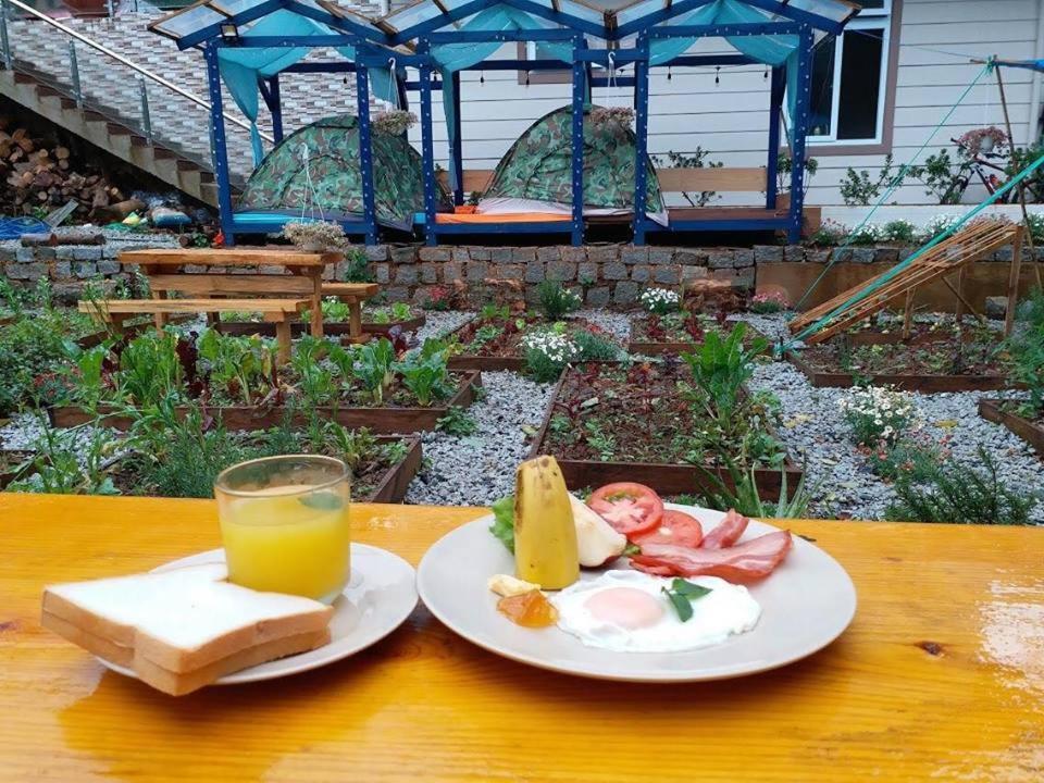 Degree 29 Hostel دالات المظهر الخارجي الصورة